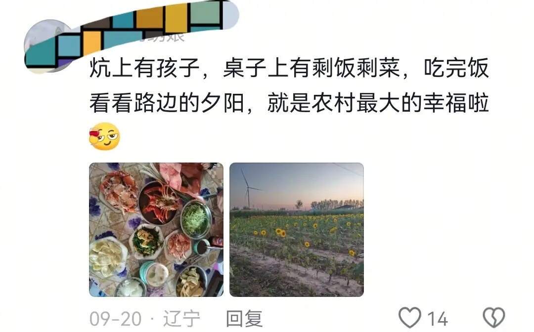 大家都是纯过日子的人了 