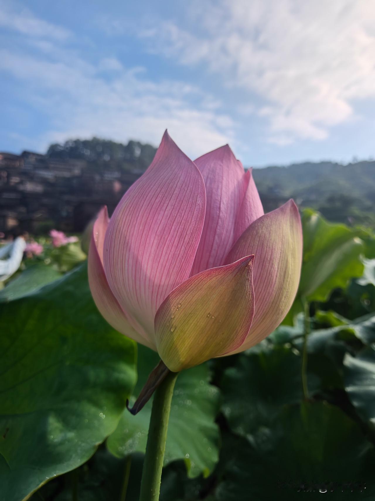 《那就是我》和《热血颂》
当年被港台音乐“埋没”的佳作，现在听来忍不住热泪盈眶。