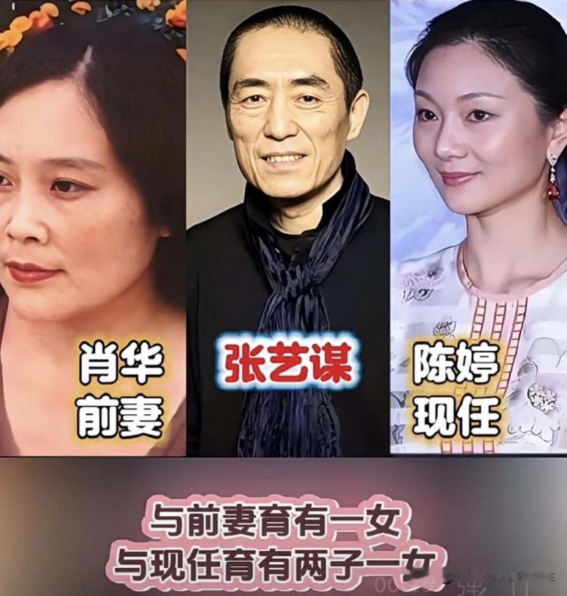 刀郎、张艺谋、吴奇隆、张嘉译的两任妻子，各有各的人生选择和幸福模样。刀郎和前妻杨