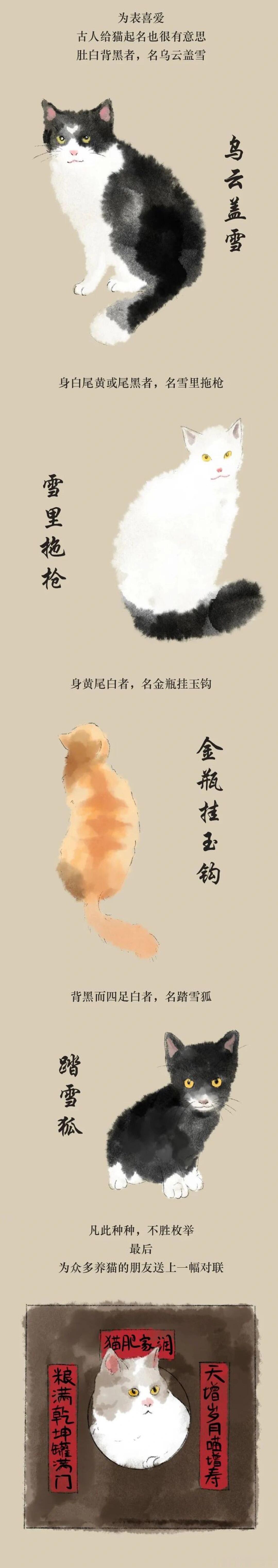 谁懂啊！宋朝的聘猫契简直是猫奴的终极浪漫～