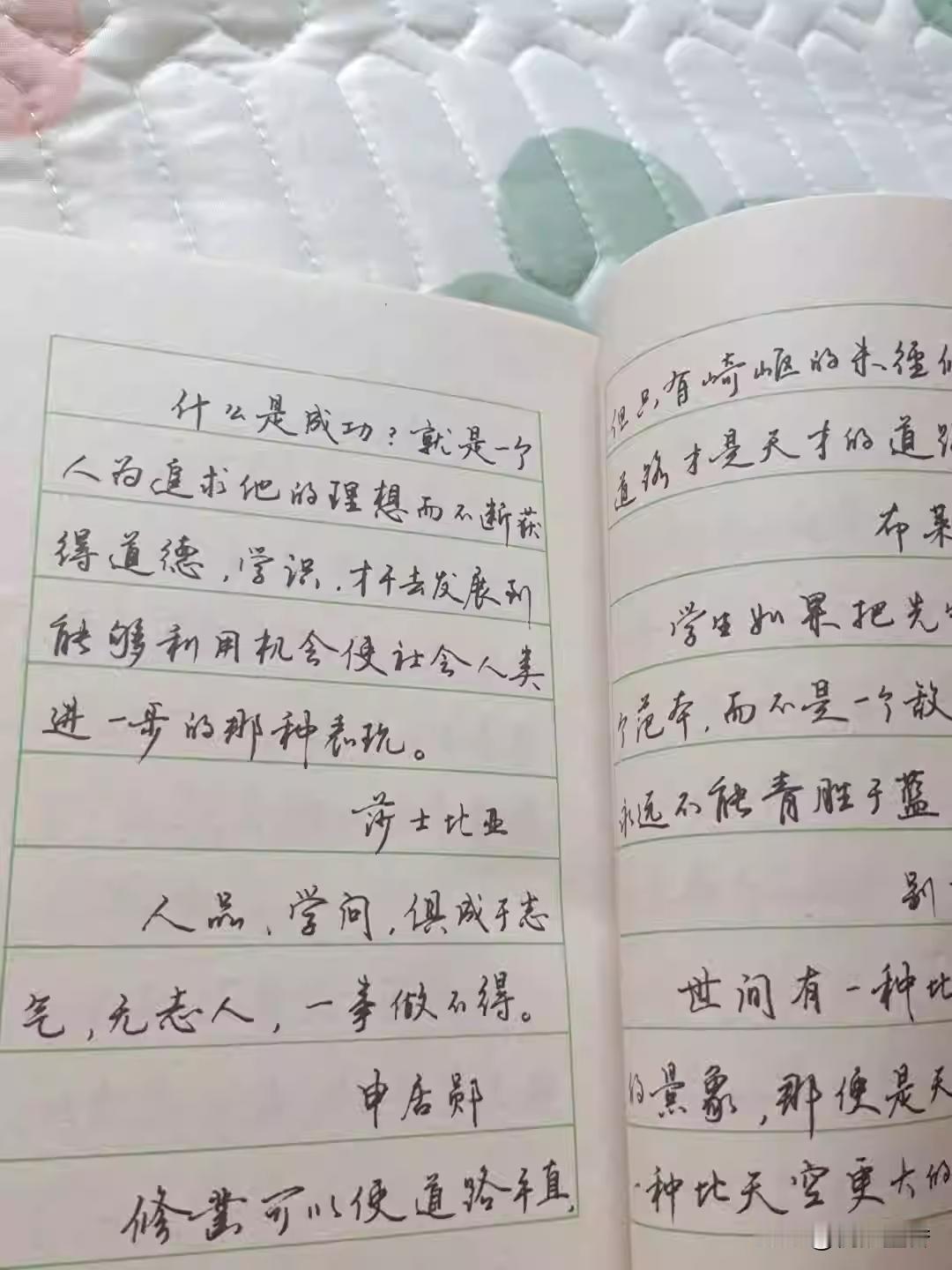 这硬笔书法，给人感觉很轻松，很灵动，没有法度谨严，没有笔画精致，没得端起架子，写