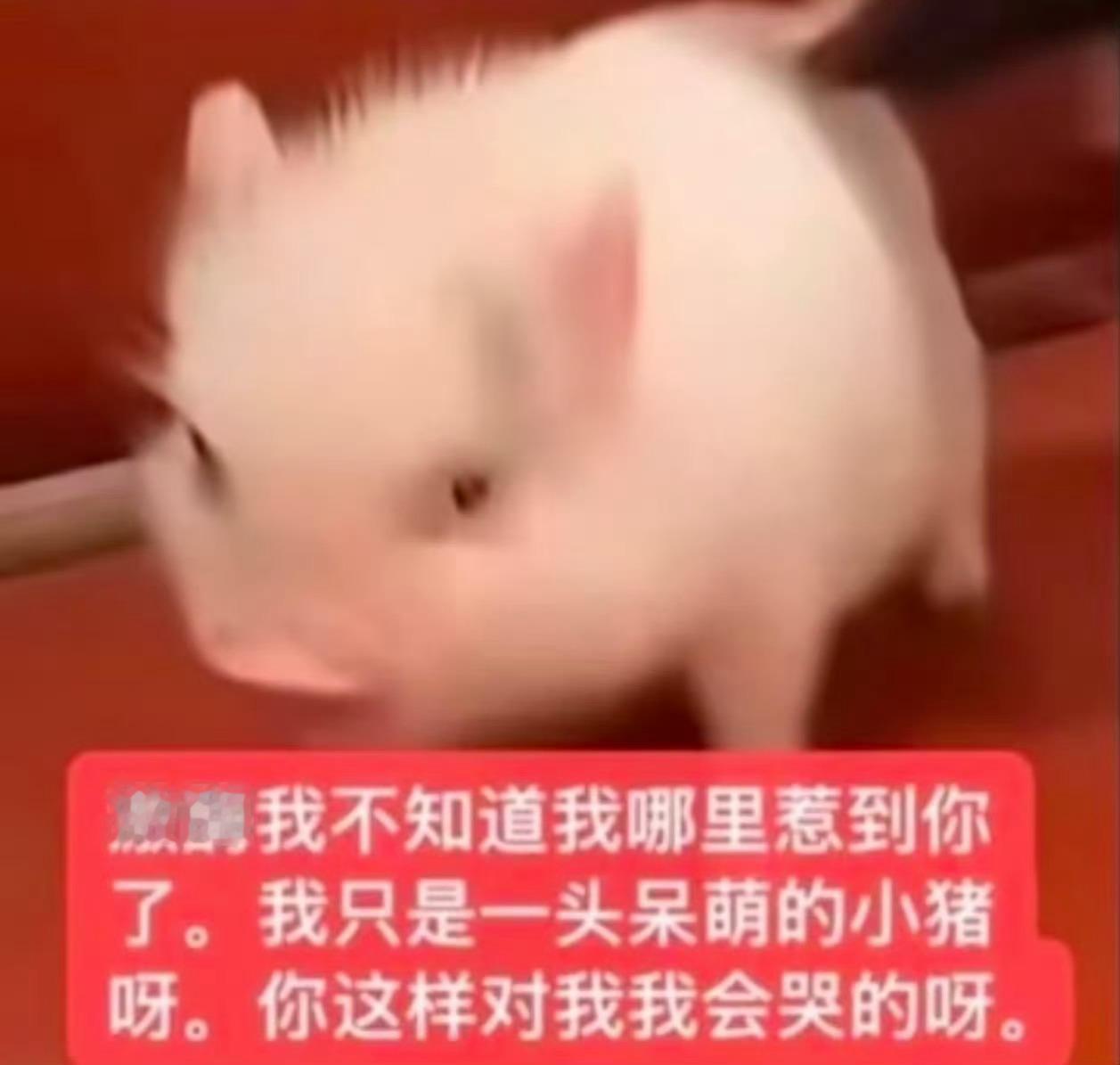反80