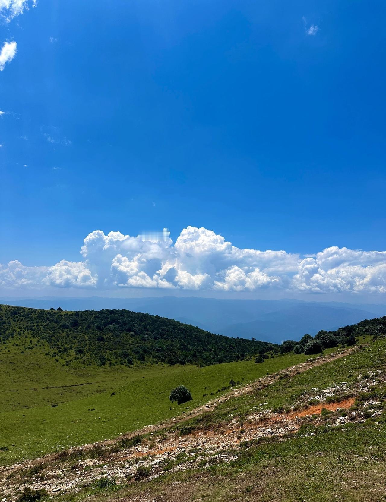 洱源鸟吊山⛰️藏着大理最野趣的秘境🐎
是横断山脉里的“飞鸟驿站”。这里1550