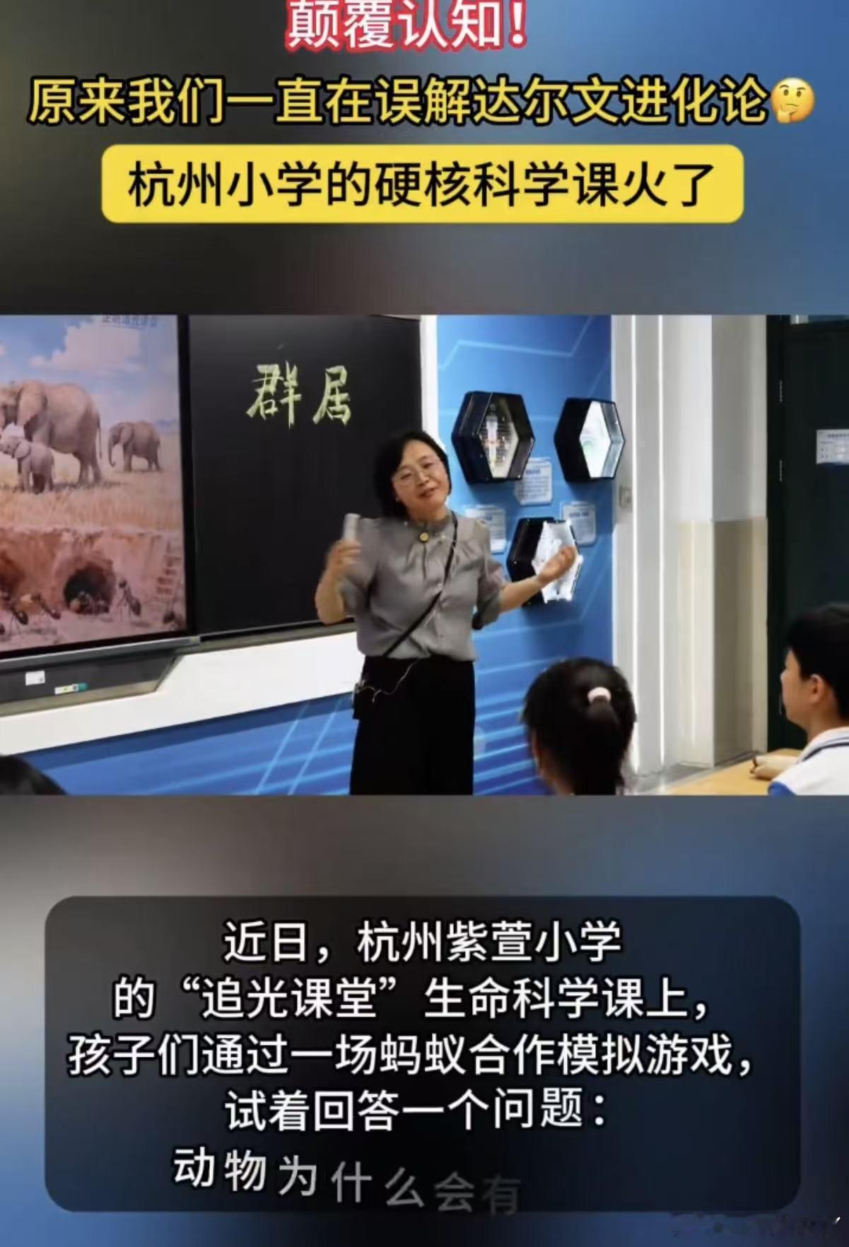 杭州小学的硬核科学课火了温柔又治愈的六一日常，杭州校园不断创新教学模式，趣味科普