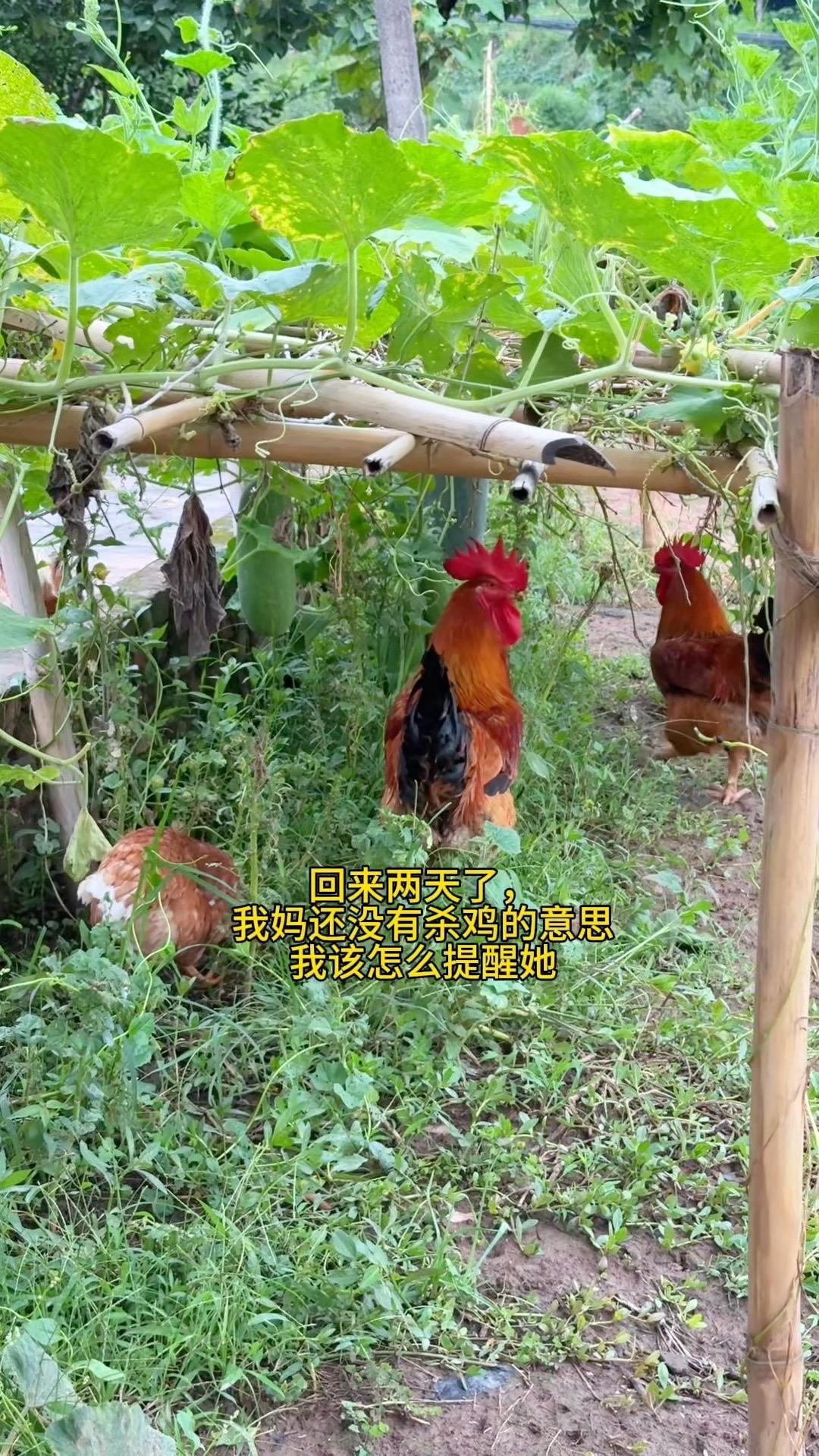 到底该怎么提醒她，显得我没那么刻意？