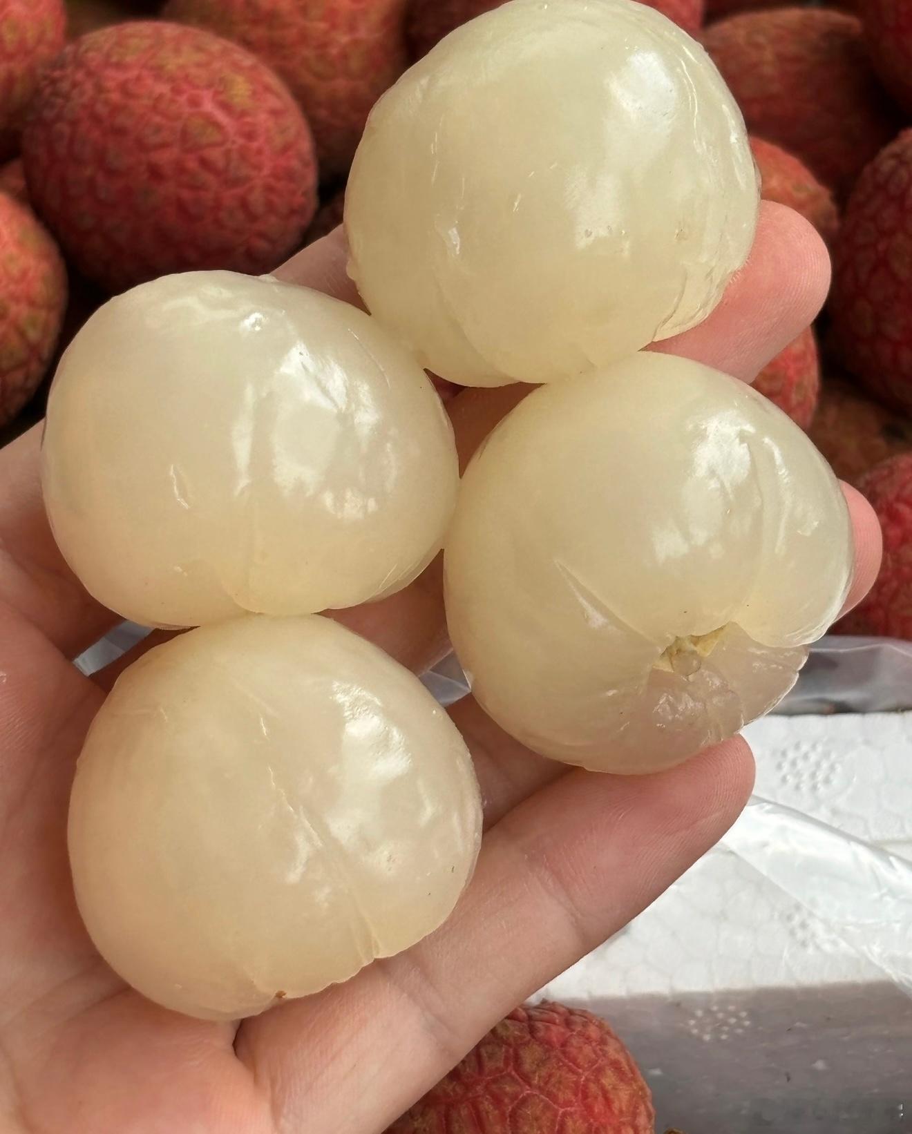 荔枝 低血糖，这两个词竟然能联系起来，不过想想最近关于荔枝的说法还是挺多的，又是
