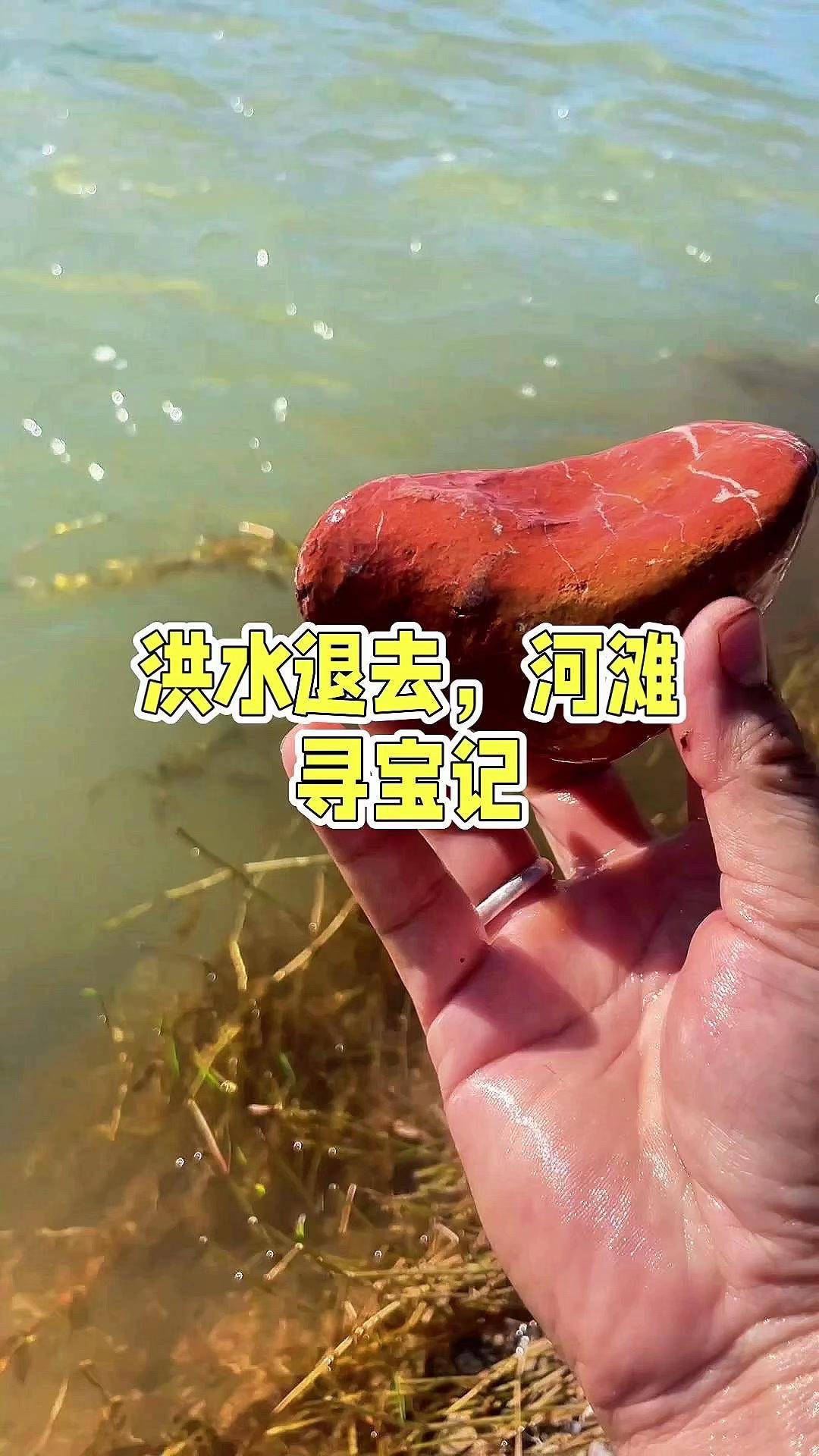 🌿洪水刚退的河滩藏着惊喜，各种造型的石头让人挪不开眼。
有带小造型的麻赖石，粉