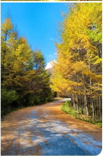 小时候，父母，老师常说：成功是拼搏出来的，因为天道酬勤！
经历了人生的毒打，终于