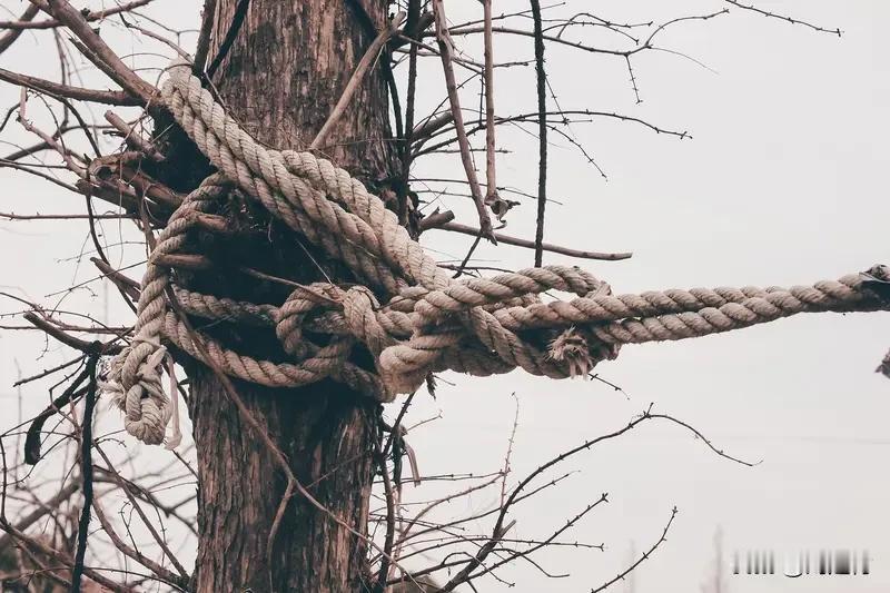 不爱你的人，别纠缠，别回头
感情里最傻的事，就是纠缠不爱自己的人。
你发消息，他