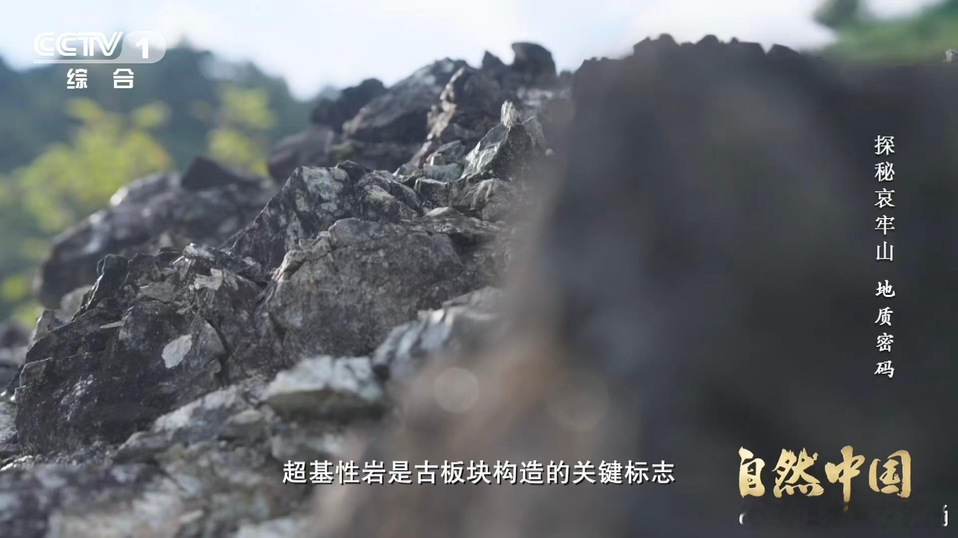 哀牢山罗盘为什么会失灵揭秘哀牢山磁场紊乱现象 神秘哀牢山暗藏磁场奥秘，罗盘入山便