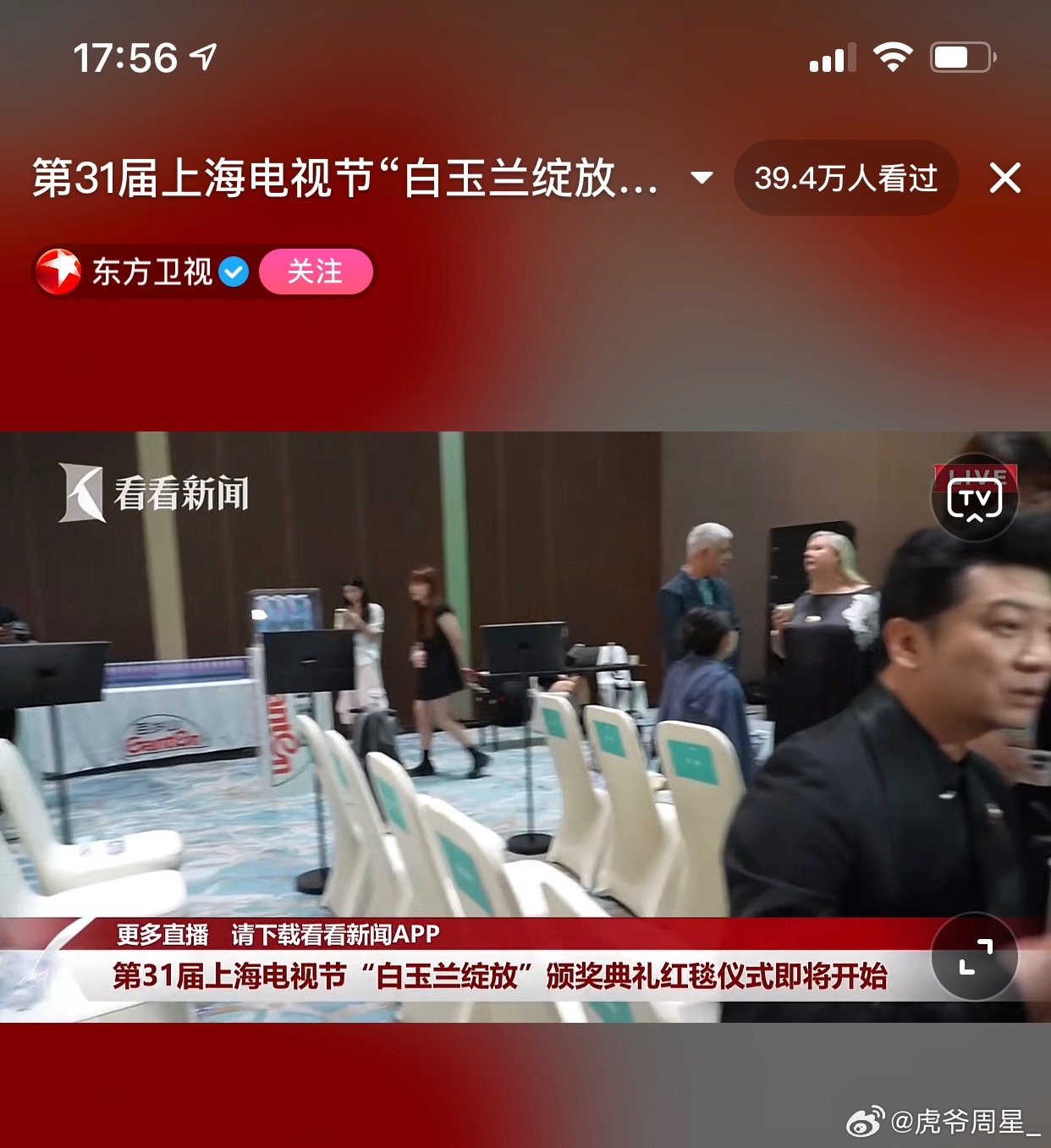白玉兰的红毯差不多开始了… 