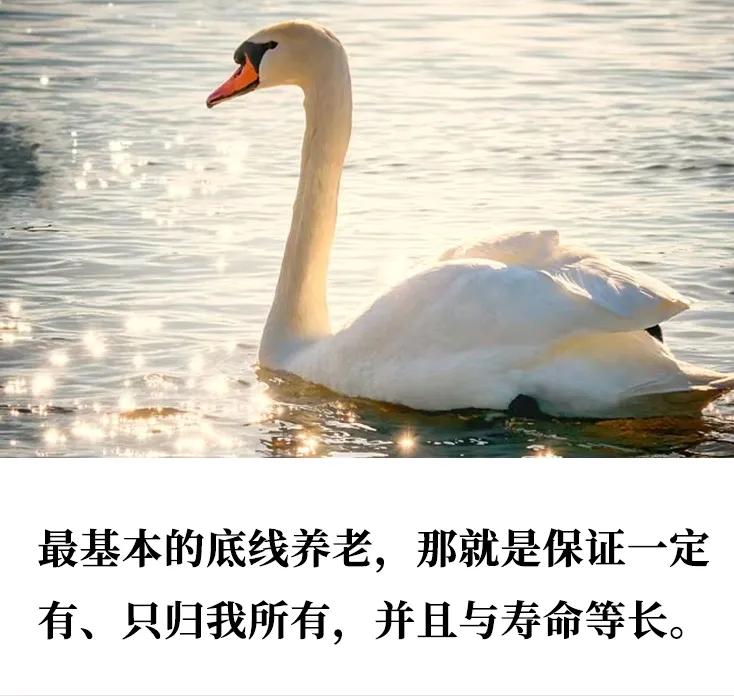 如果遇到七八十岁步履蹒跚卖东西的大叔大妈，不论他们卖的东西是好还是不好，就买点吧