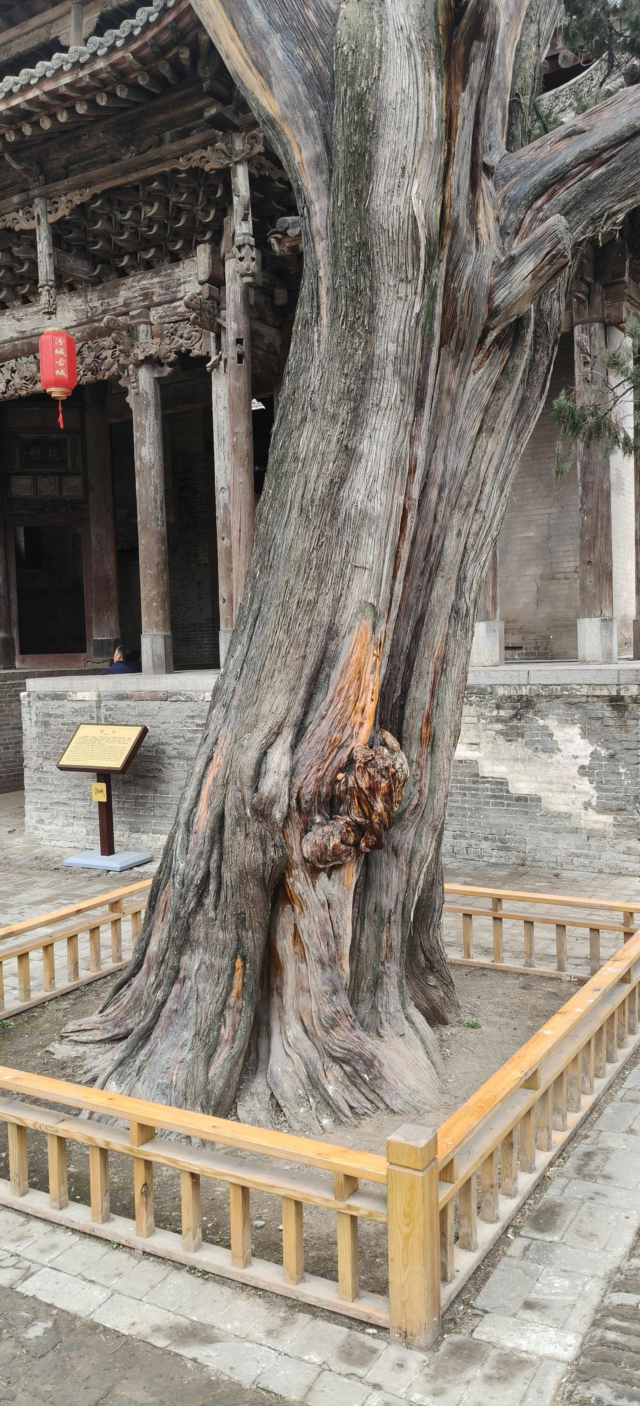 近日有幸到襄汾县汾城古镇参观游览，在老师的讲解下对汾城古镇有了全新的认识，汾城古