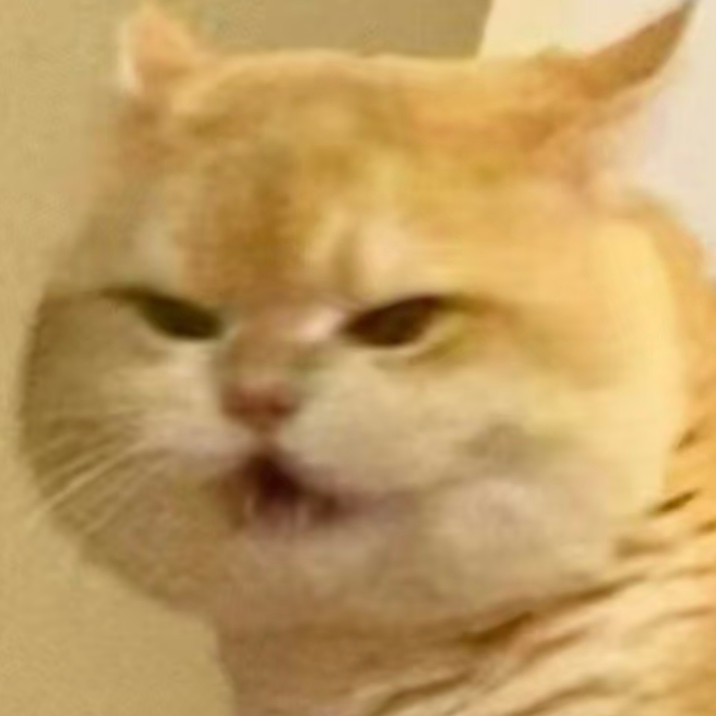 大专猫最喜欢的人：家树哥（帅、酷、聪明[酷]）大专猫最讨厌的人：入江迟曜（没理由