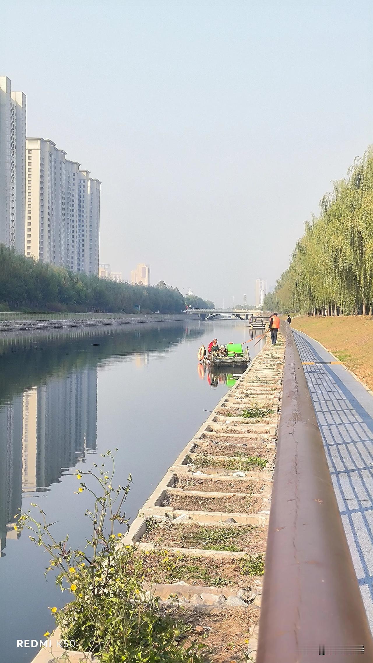 黄花沟喷药！师傅说的“五毒鹅卵”是啥？

坐标保定。今天早上去北河堤骑车锻炼，无