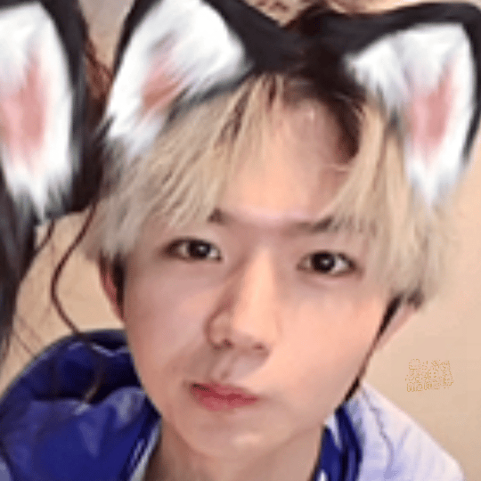 九尾XXZ与九尾共赴鑫光璀璨 🦊电竞夏日营业中 DAY21 最喜欢的一张表情包