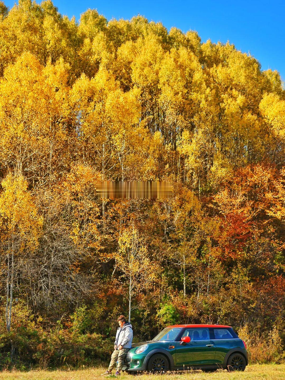 打翻了秋天的调色盘🎨，在来一场秋天的味道