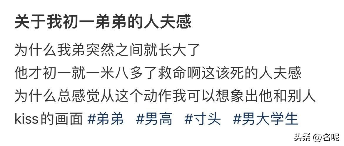 初一男生？人夫感？姐姐？亲吻的画面？      我傻了！这还是人话吗？

虽然有