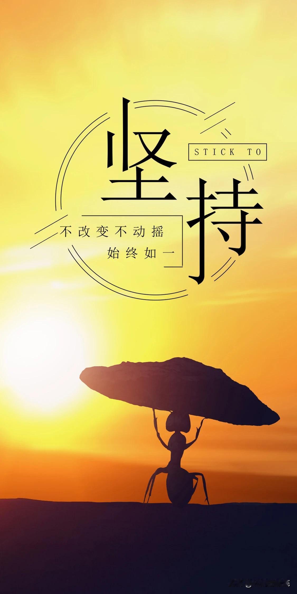 做人就要像花一样，不管有没有人观赏，但是你一定要绽放，你要用快乐带动心情，用观念