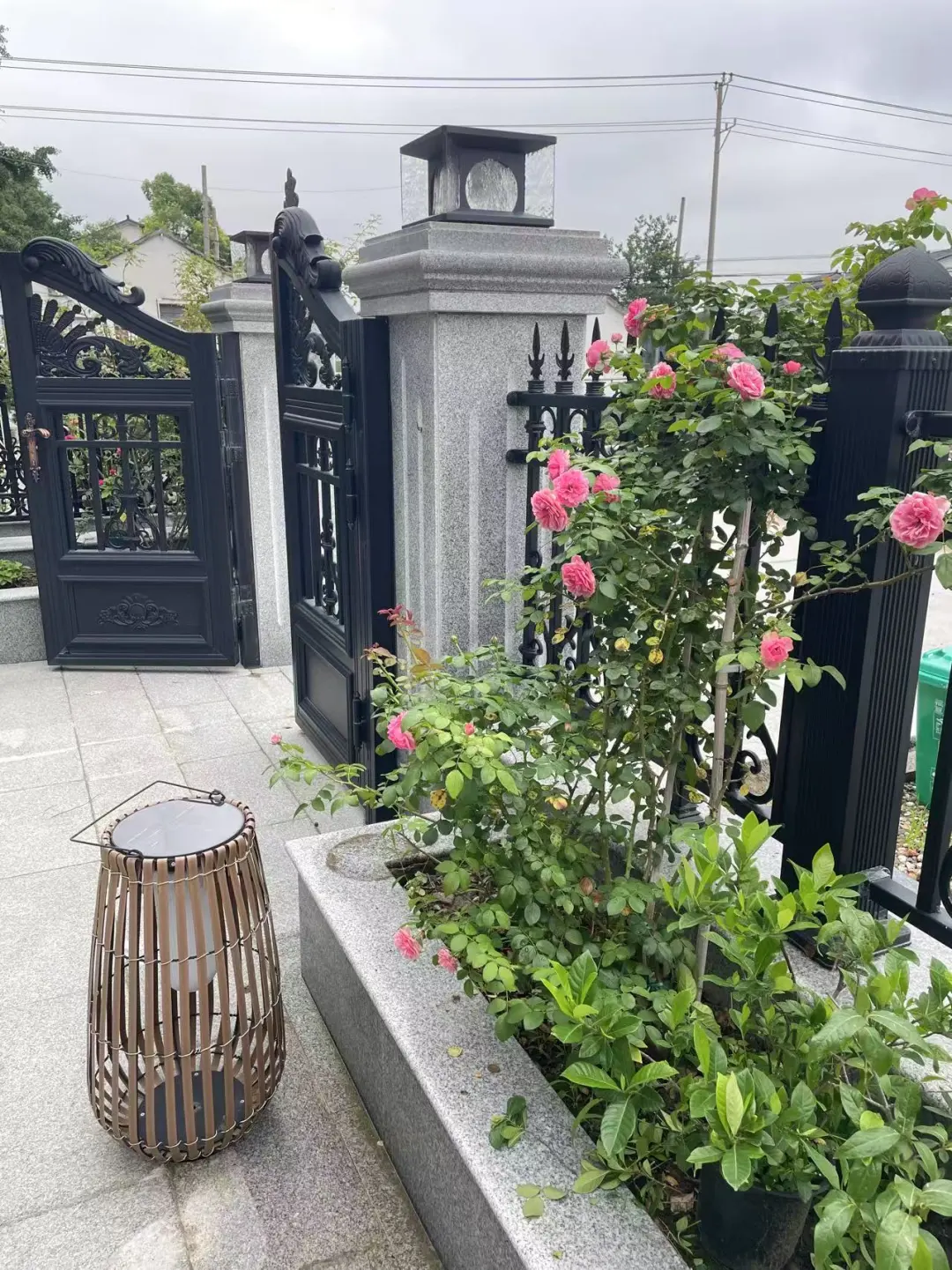 我妈说，回村里比旅游还好玩