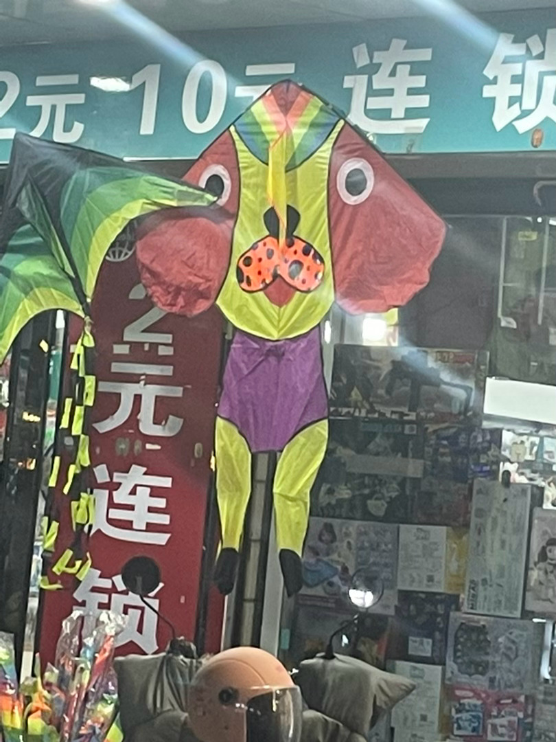 这啥啊我当时蹲在地上笑