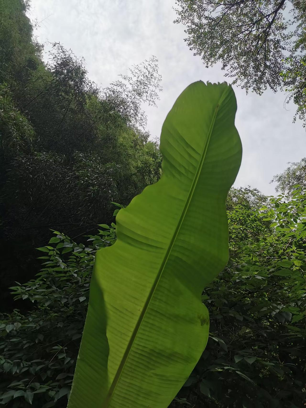 光明对黑暗，一半对一半。所有的耕耘都是为了收获，所有的付出都是为了更好的生活，所
