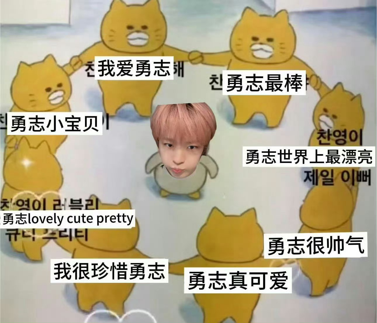 分享图片 