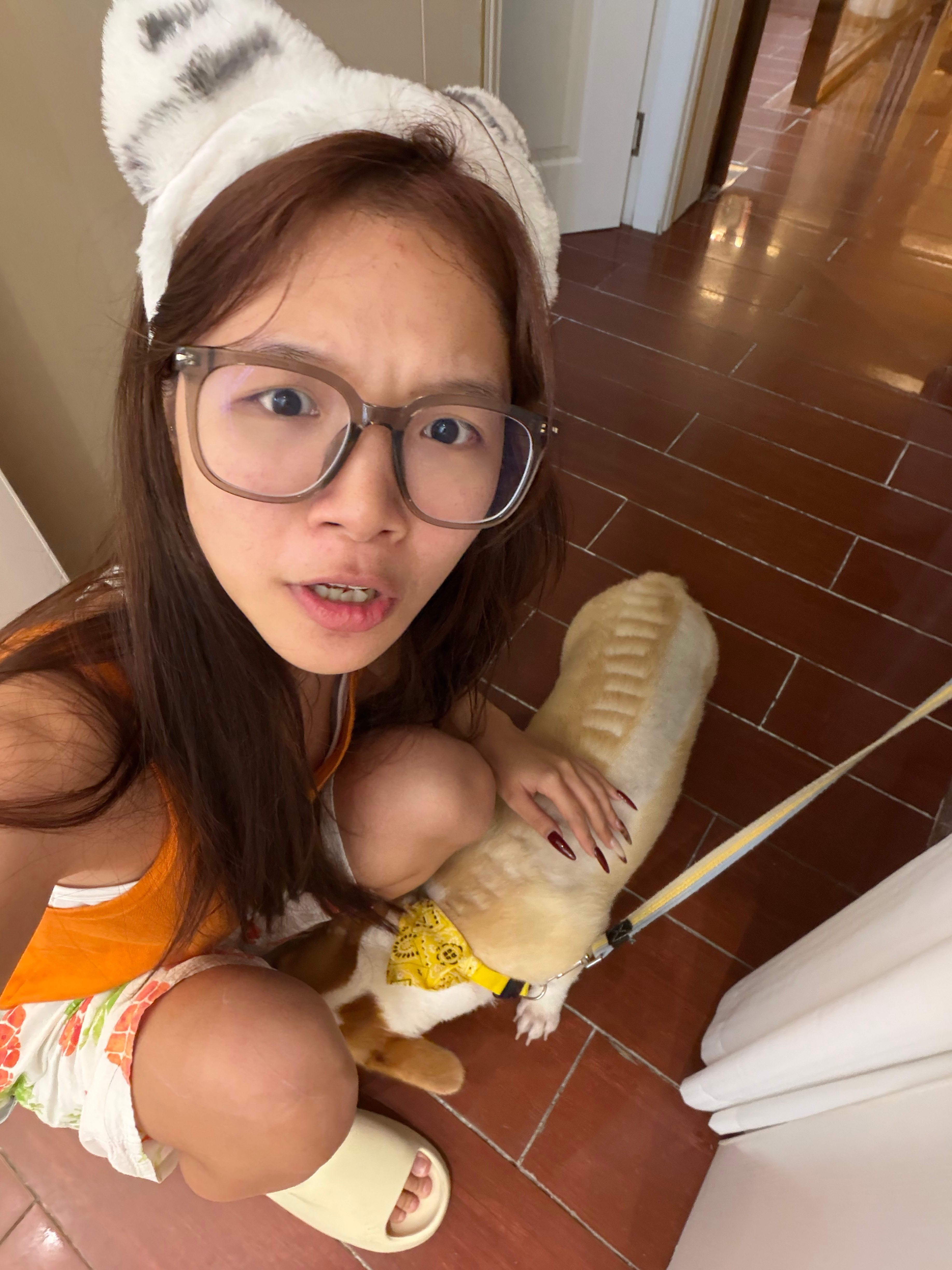 去了一家按摩店。。店里的小狗。。。居然让我萌生了养狗的想法。。。感觉小狗是真的能