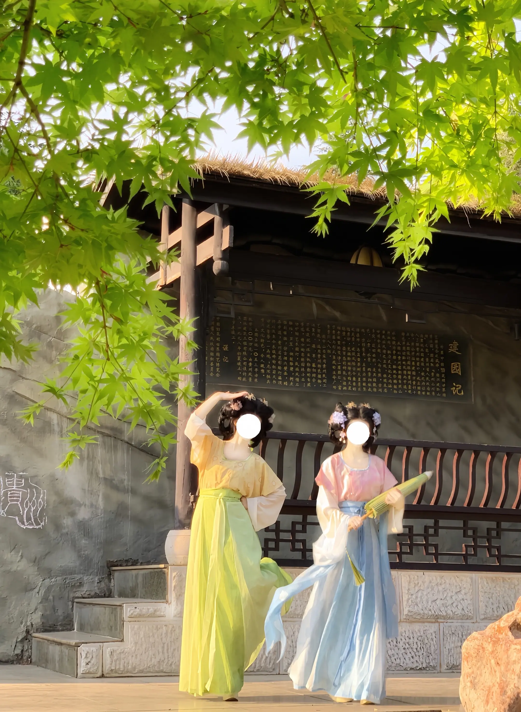 接下来就是蝉鸣不止，盛夏悠长。