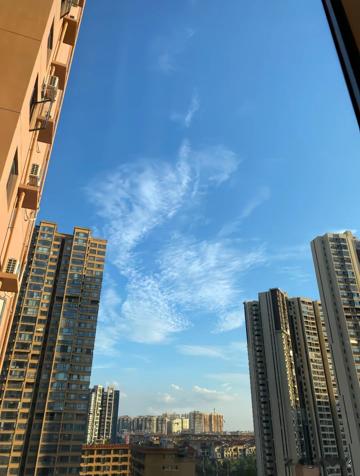 习惯不习惯的习惯——会习惯
适应不适应的适应——会适应             