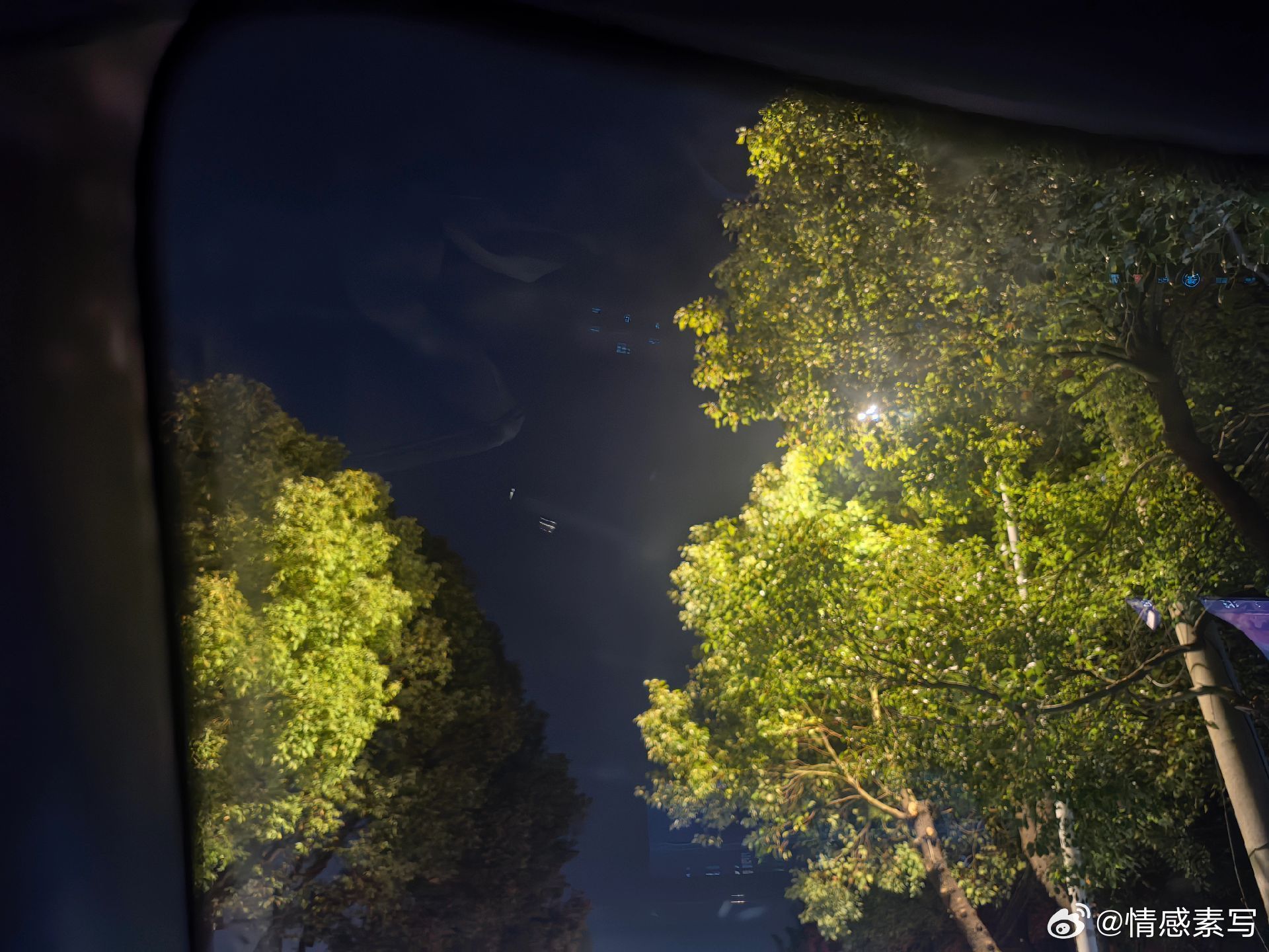 随手拍“就在那么一瞬间，突然觉得好心酸。生活处处不尽人意，我每天都在假装一切还好