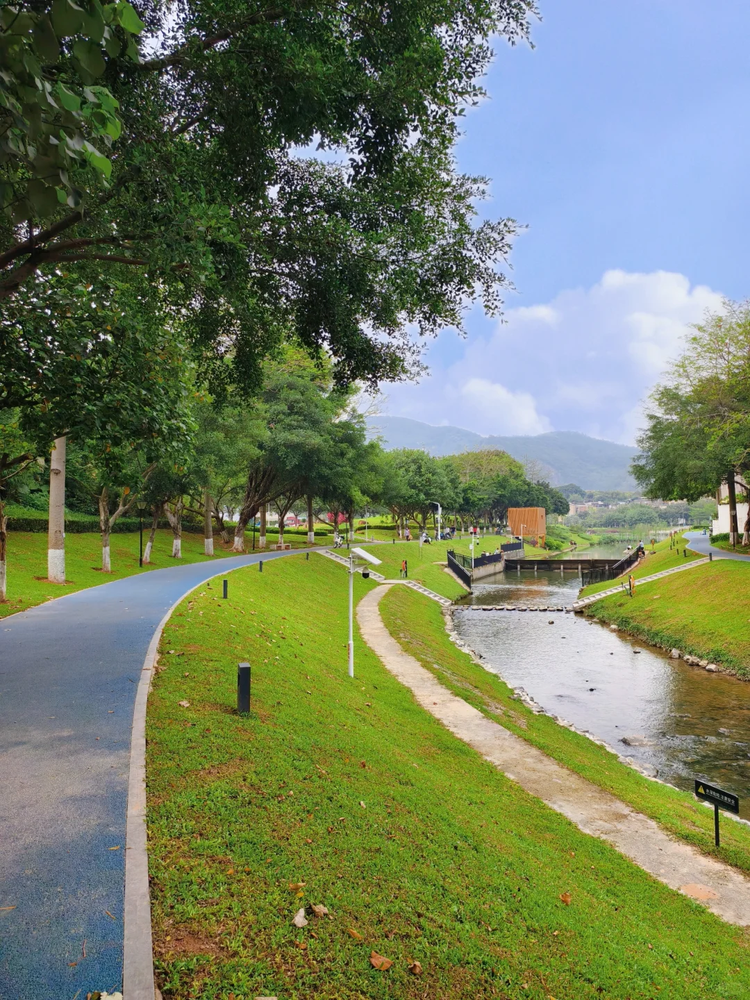 谁能想到河涌旁边竟然有这么美的公园