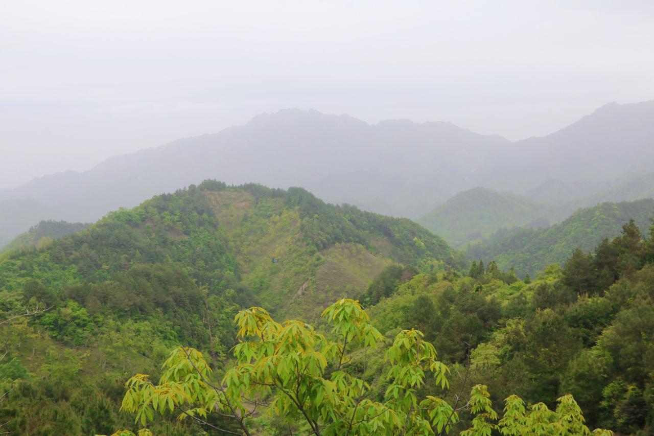 今天晚上安排了一个初三学生的数学，孩子是金陵汇文的，能考到 90 多分，但要想再