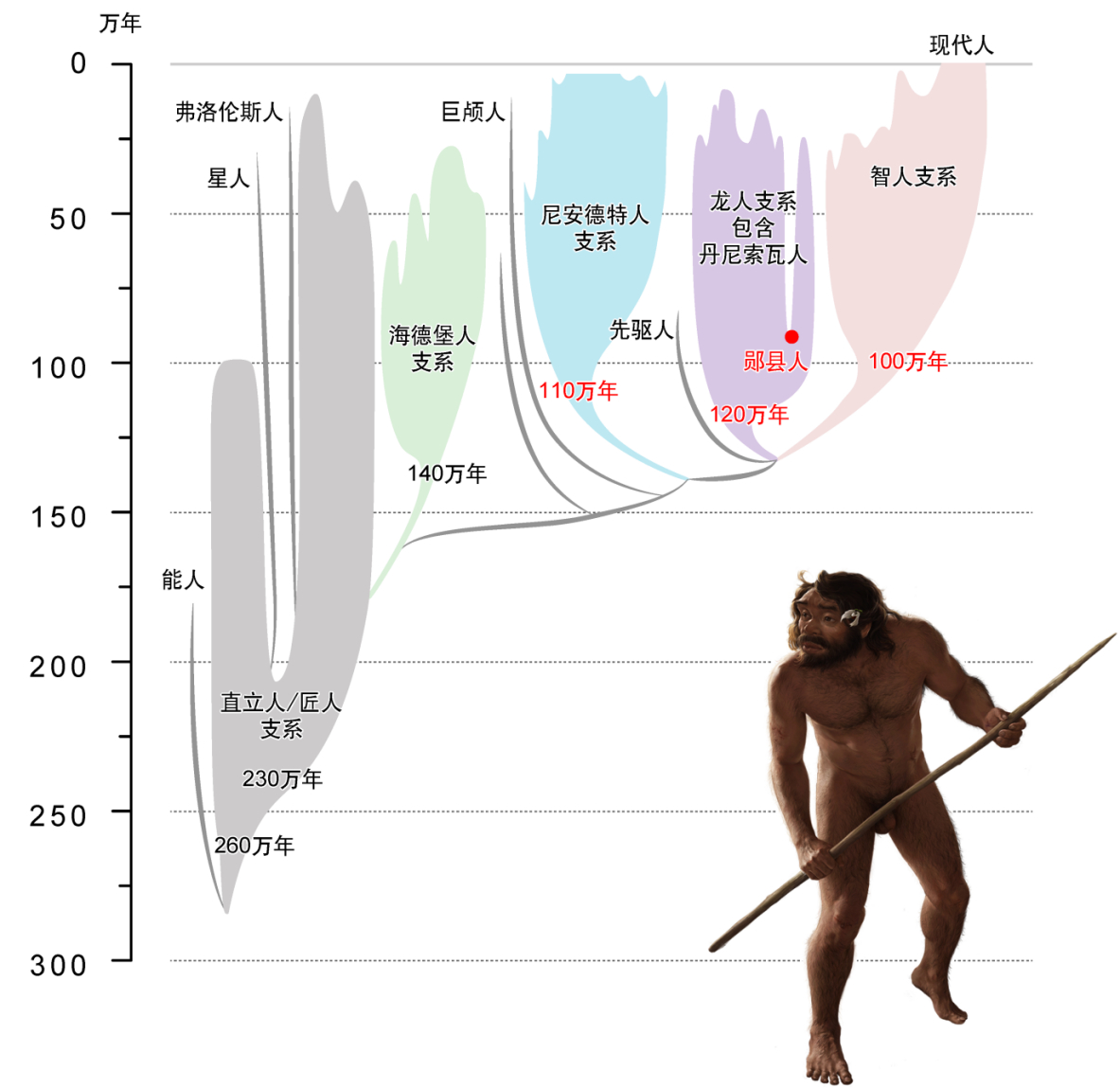 #人类演化时间线刷新#【最新研究刷新人类演化时间线】记者从中国科学院古脊椎动物与