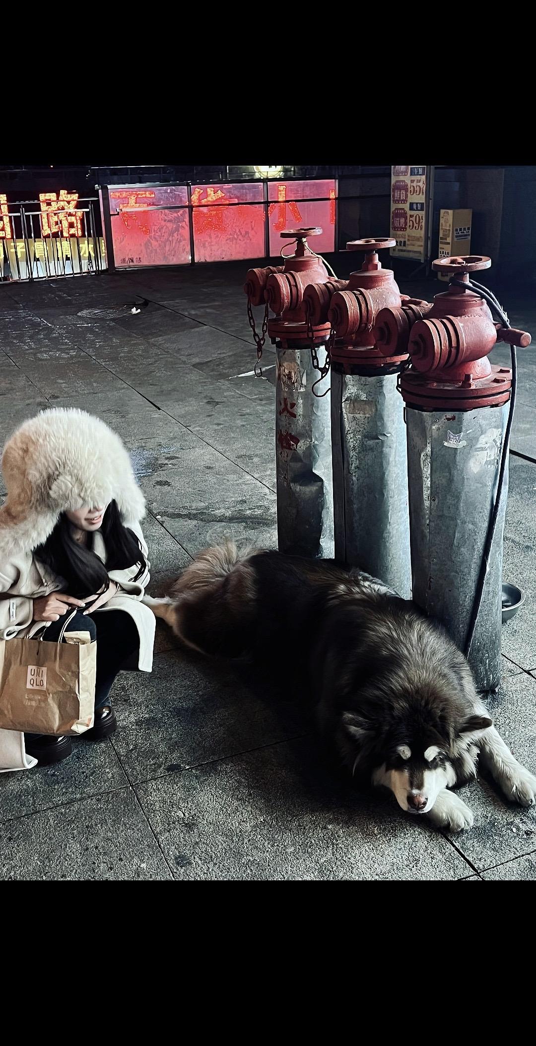 爱不是优先级就别选我