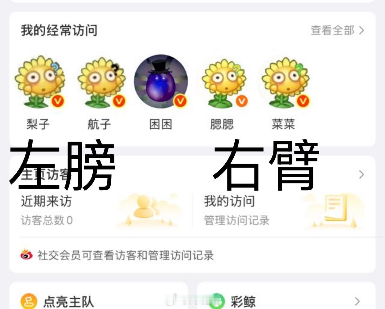 困困一家独大了 身后跟了这么多小弟