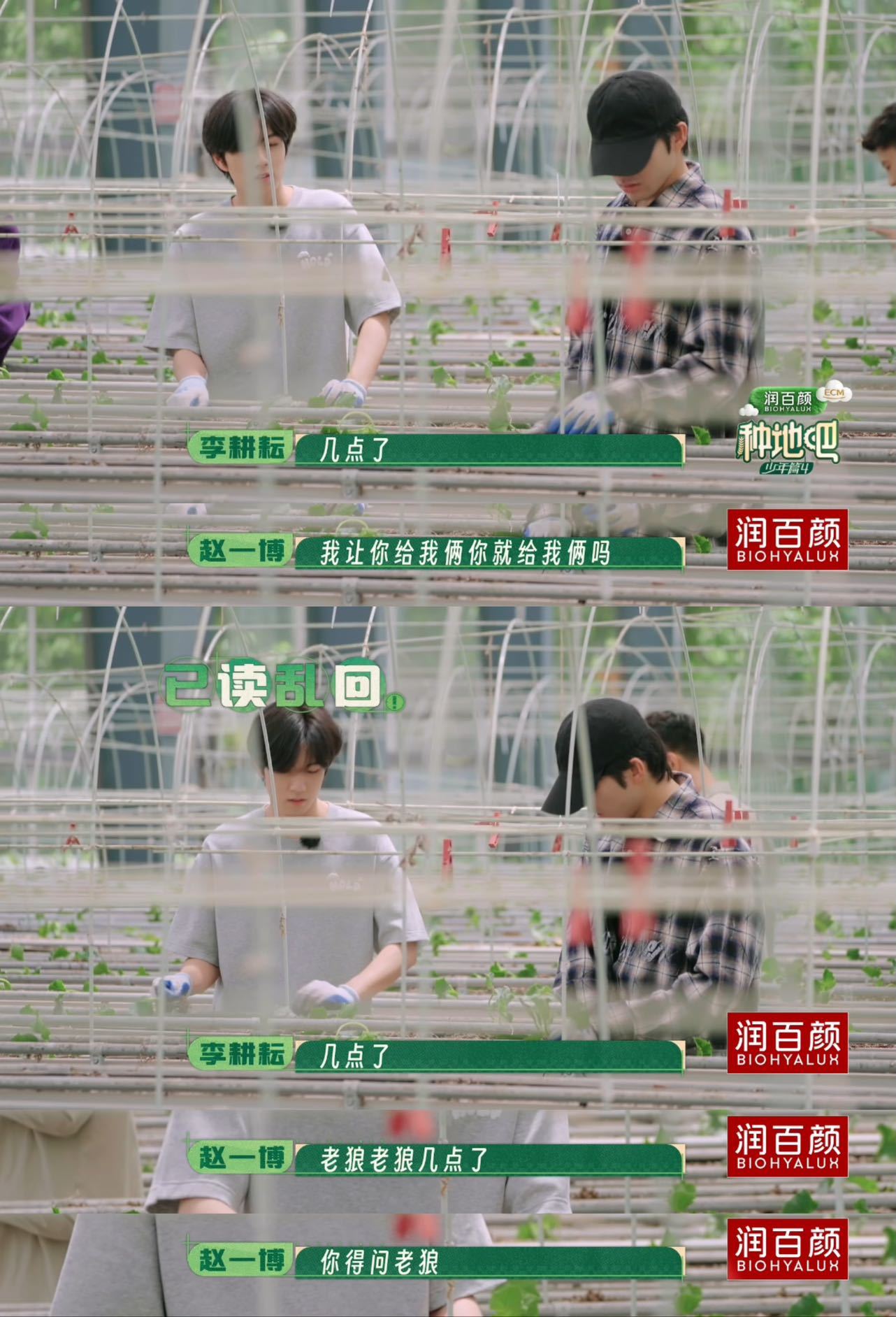 赵一博已读乱回种地吧4种地日记 明明是中文，咋有点听不懂了呢问时间上演大型“已读