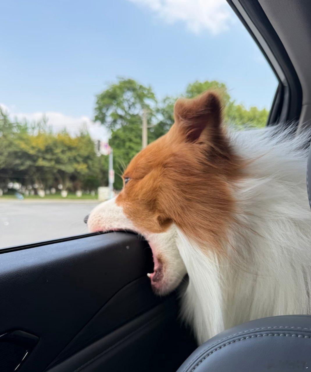 主打孩子开心就行，咬一个洞和N个洞是一样的快乐源泉