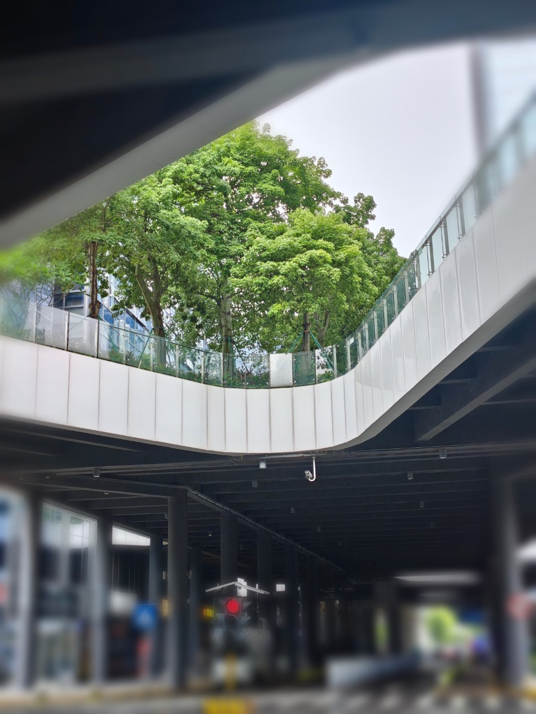 喜欢这个视角。 深圳·深圳湾科技生态园