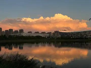 分享你随手拍的风景