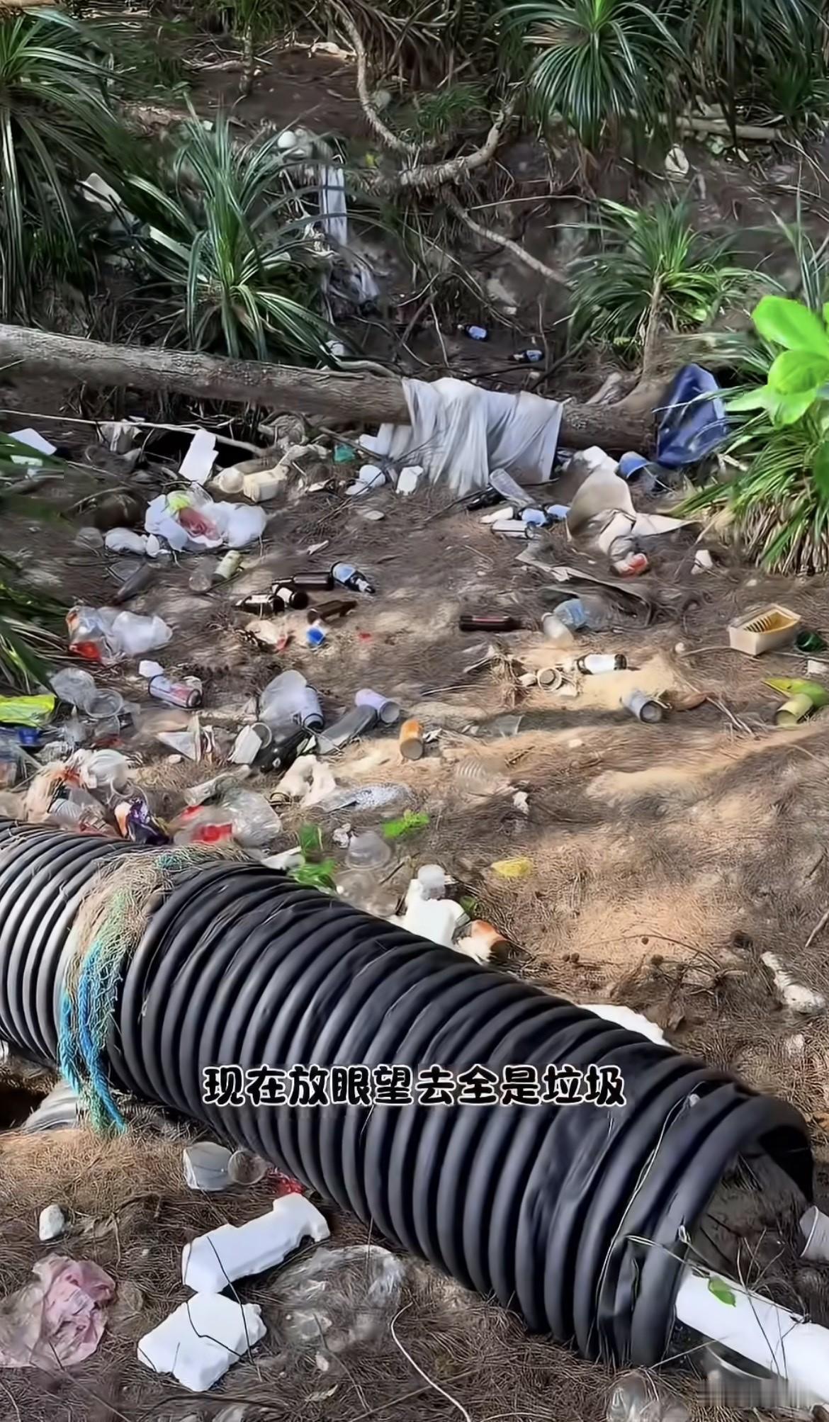 海南一个叫“行动者小敏”的博主，带着孩子去神州半岛第四湾海滩捡垃圾。在树林里翻出