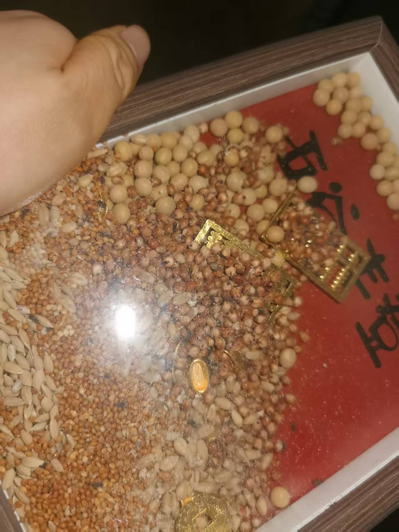 。。。。我终于找到我家里这个虫子的来源了，我真是，新搬家的各位要是也有这个五谷丰