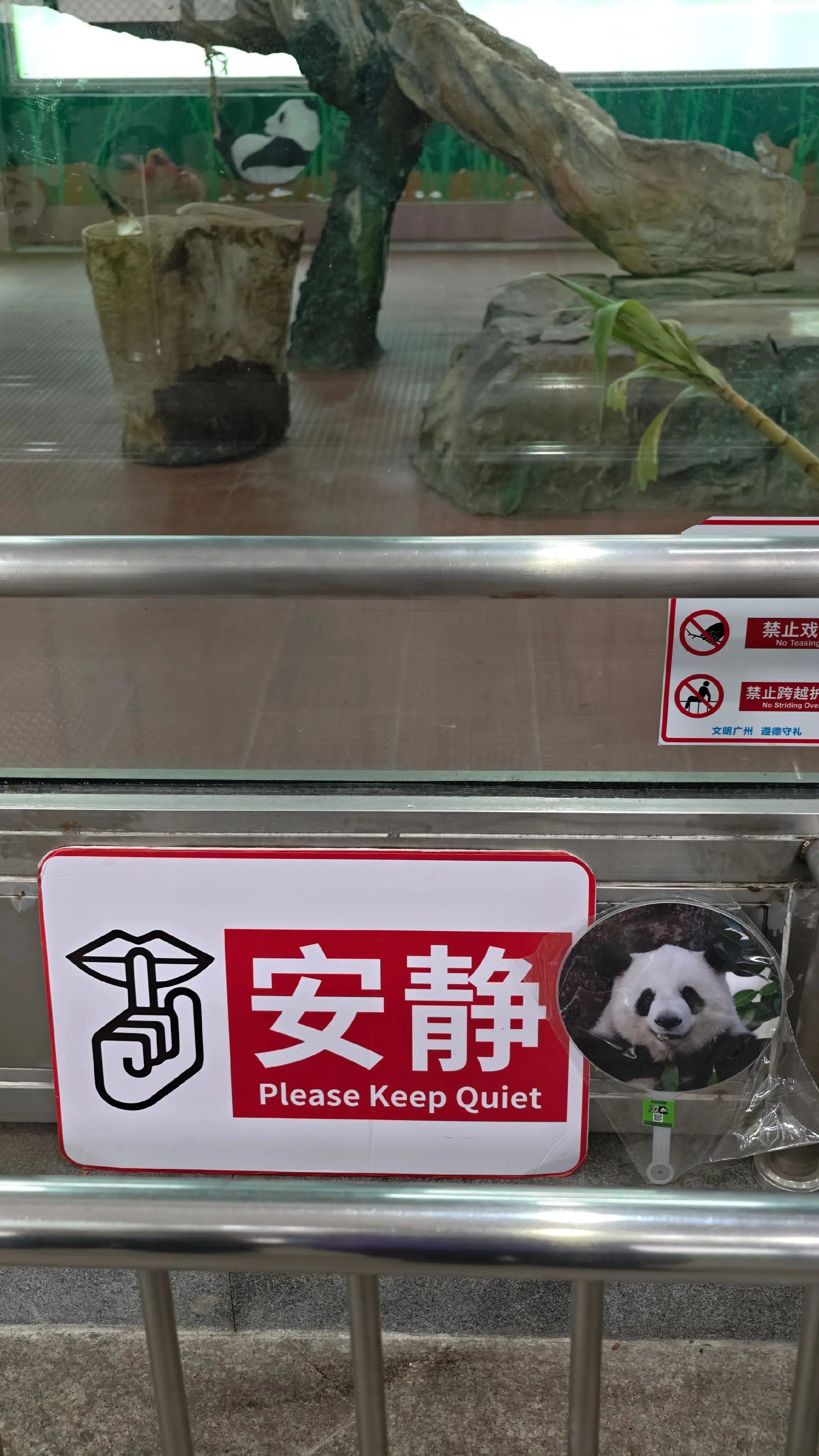 保持安静，不要开闪光灯、不要拍玻璃。雅一假孕了，让它好好休息。