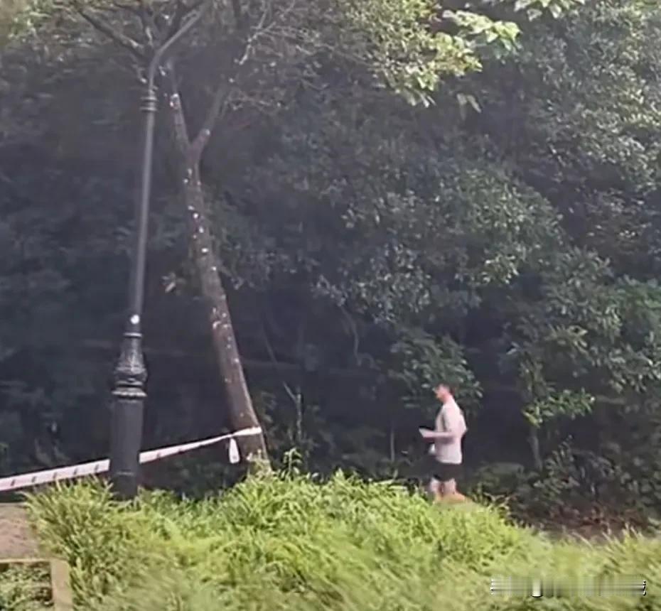 63岁的梁朝伟在公园晨跑锻炼，状态超好，灰色圆领T恤衫，黑色短裤，头戴棒球帽，手