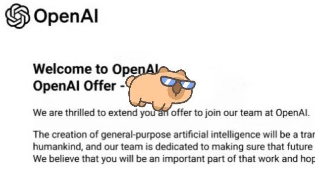 拿下OpenAI Offer的MLE Mentorship
从开始MLE找工到拿