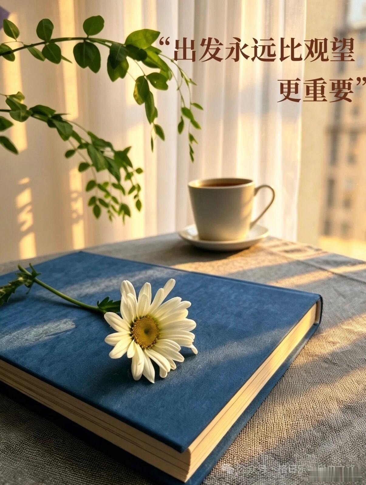 所有的惊艳都来自长久的准备所有的幸运都源自不懈的努力Every Stunning