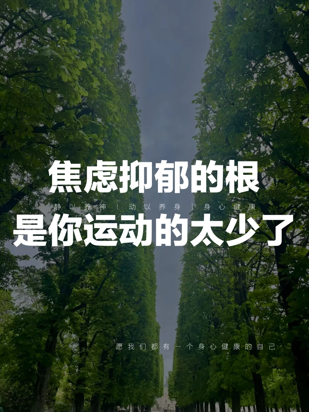 看完《精神健康讲记》，我停止内耗：去运动