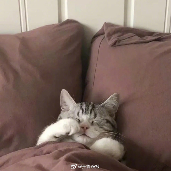 安顿好睡眠，才能安顿好自我。#晚安#