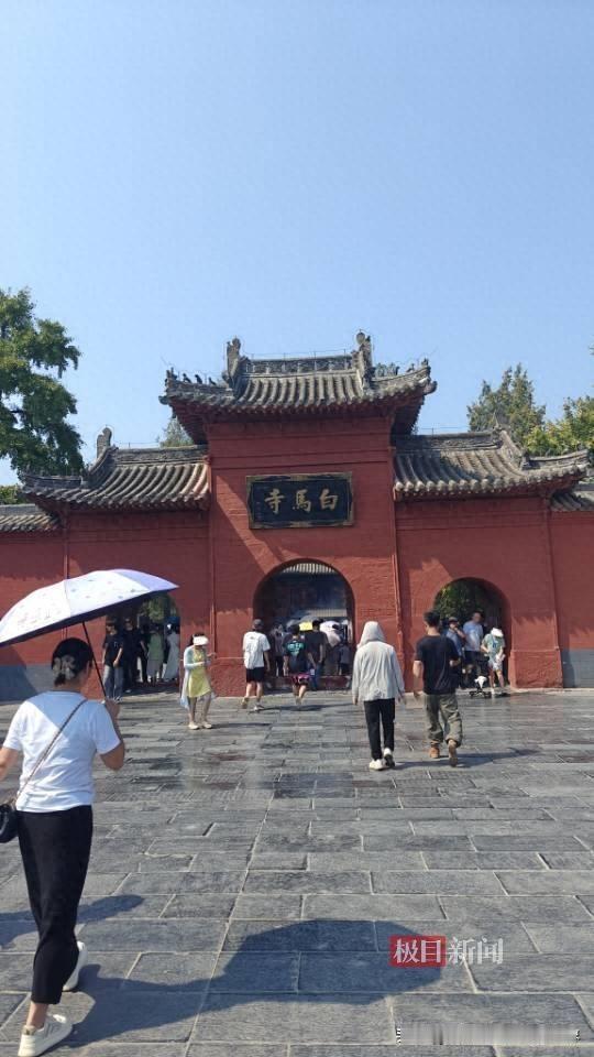 印乐方丈管理下的白马寺确实不一般，僧人顶着38摄氏度高温种地，义工称寺里一直是农