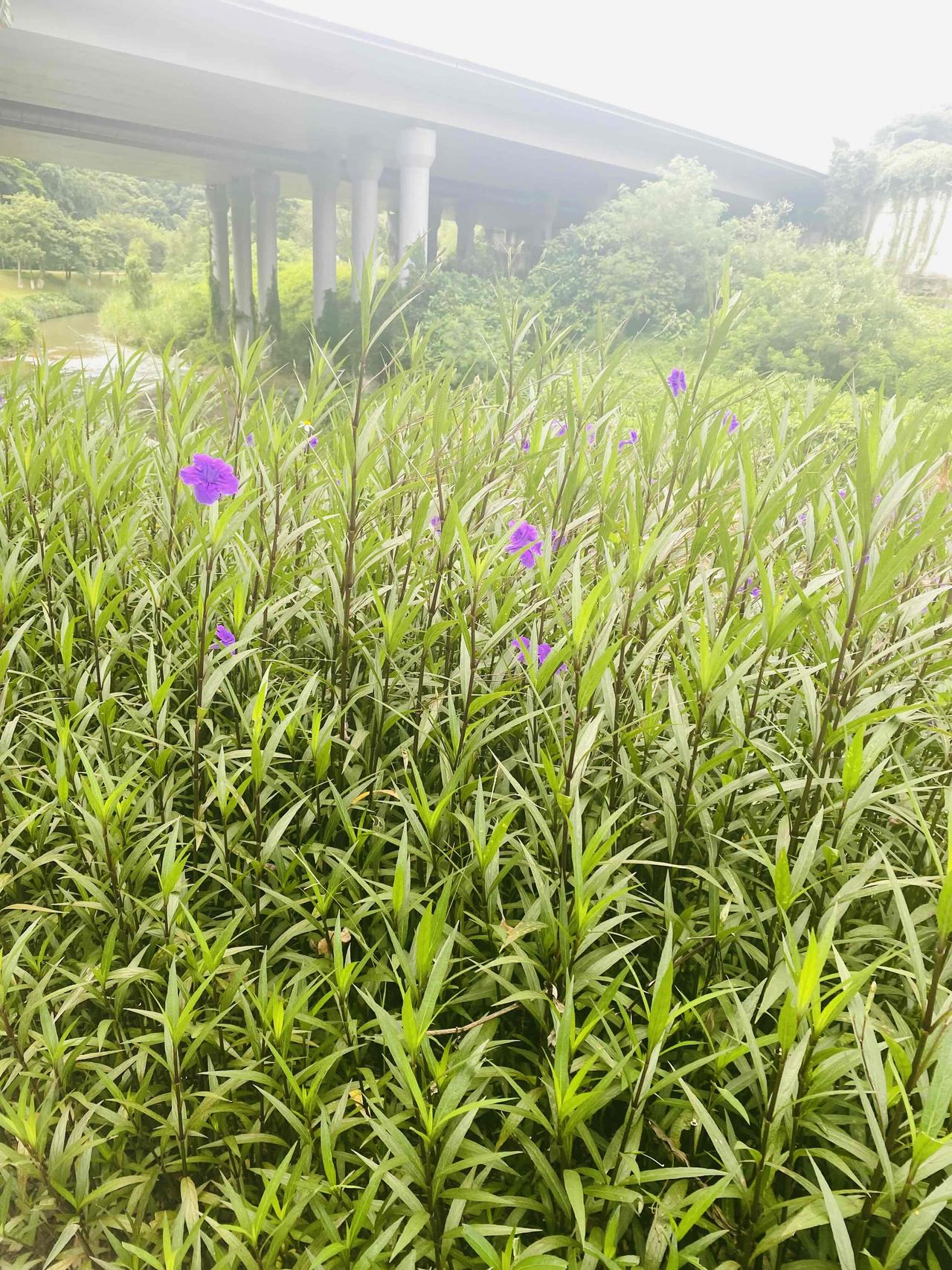 一个杯子就够用了。

高中生之前用的漱口杯裂了，原本打算买新的带去学校。后来想想